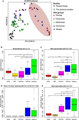 Metagenomic Study Suggests That the Gut Microbiota of the Giant Panda (Ailuropoda melanoleuca) May Not Be Specialized for Fiber Fermentation